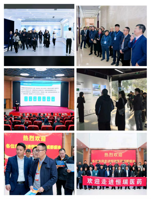 1764062382858346.png image.png