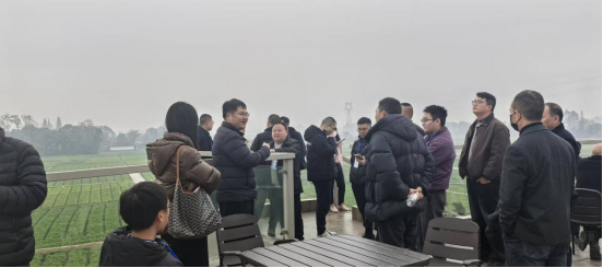 1766386365202090.png image.png